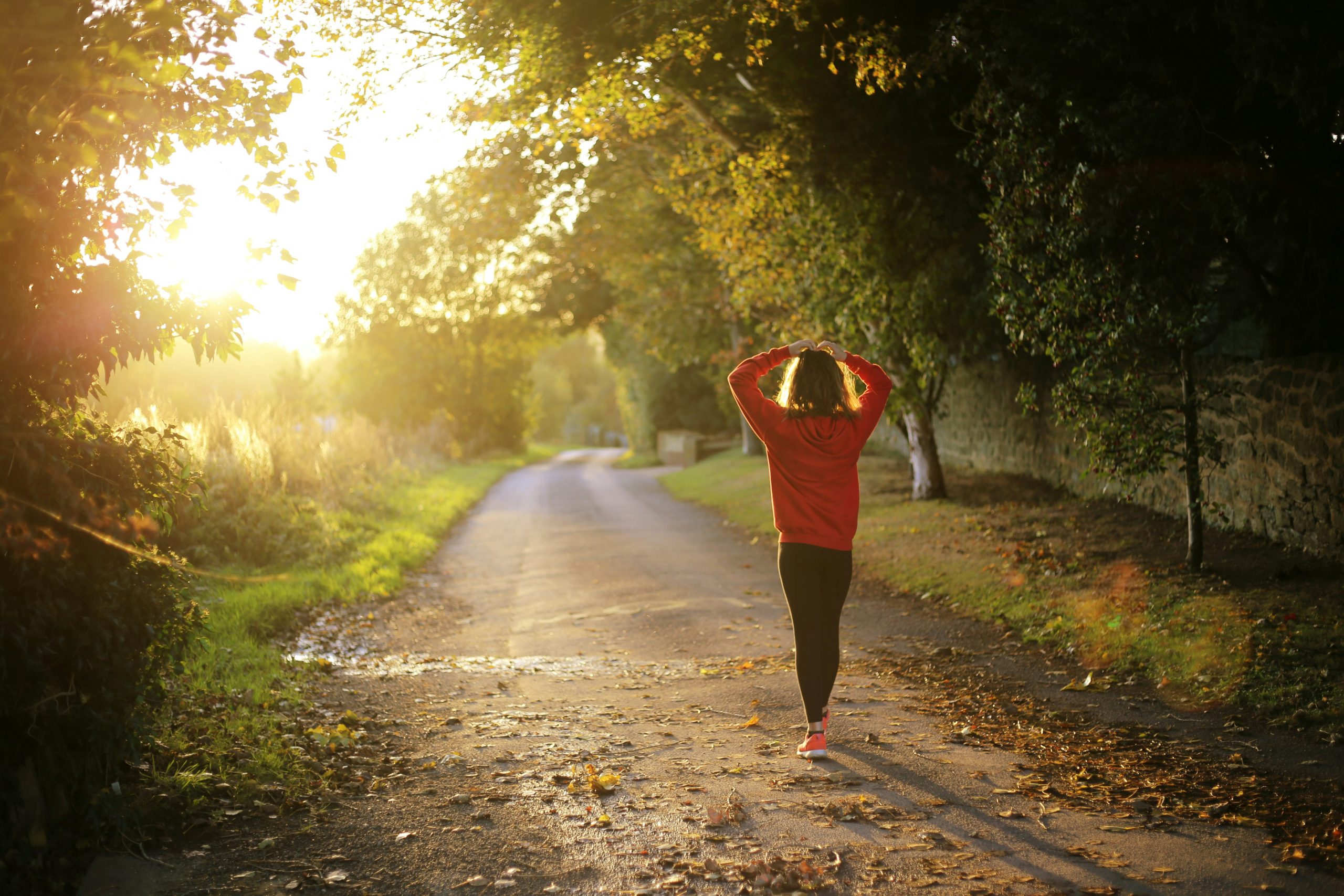 Person in sweats walking on a sunset trail in the forest.