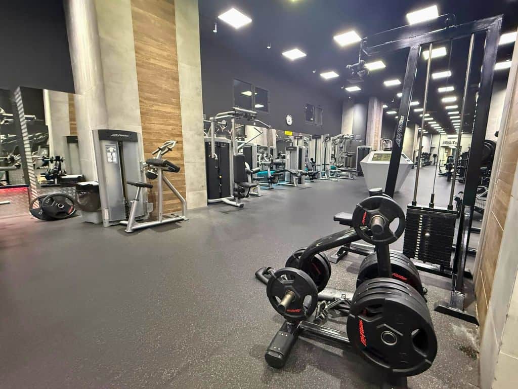 Weight plate tree and lat pull down machine