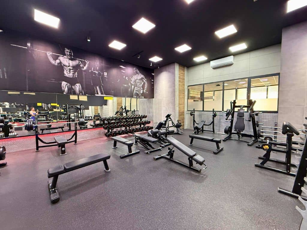 Benches and dumbbells