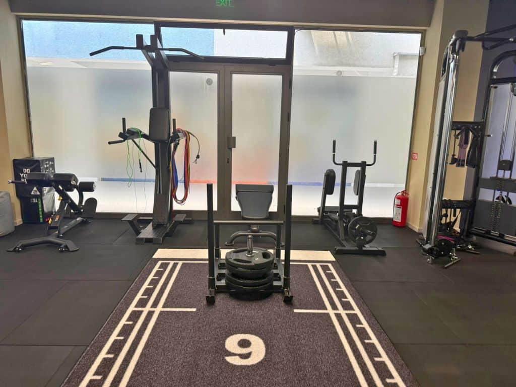 Sled push pull